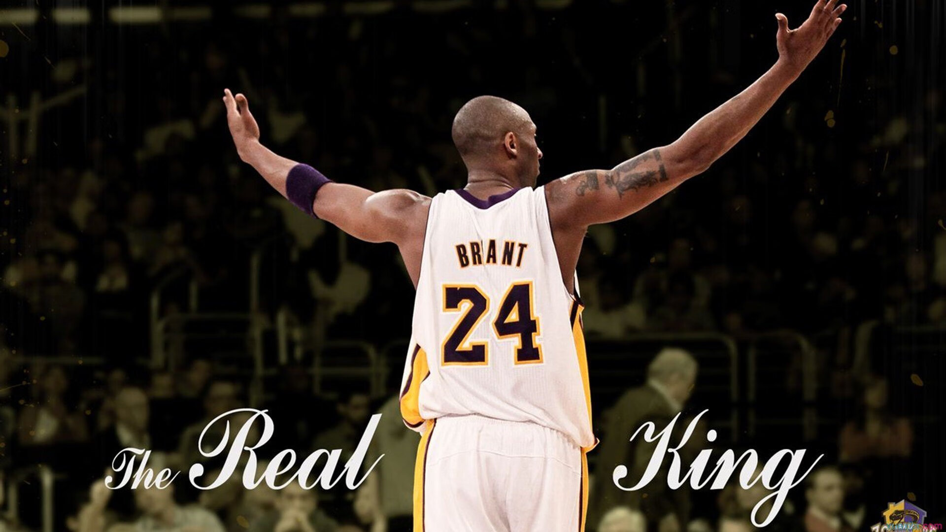 “短柄墙球:高新区全民健身馆开启全新玩法,背后的战术与技巧让你无法忽视”